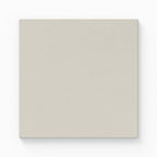Palmer 12x12 Matte Porcelain Tile in White