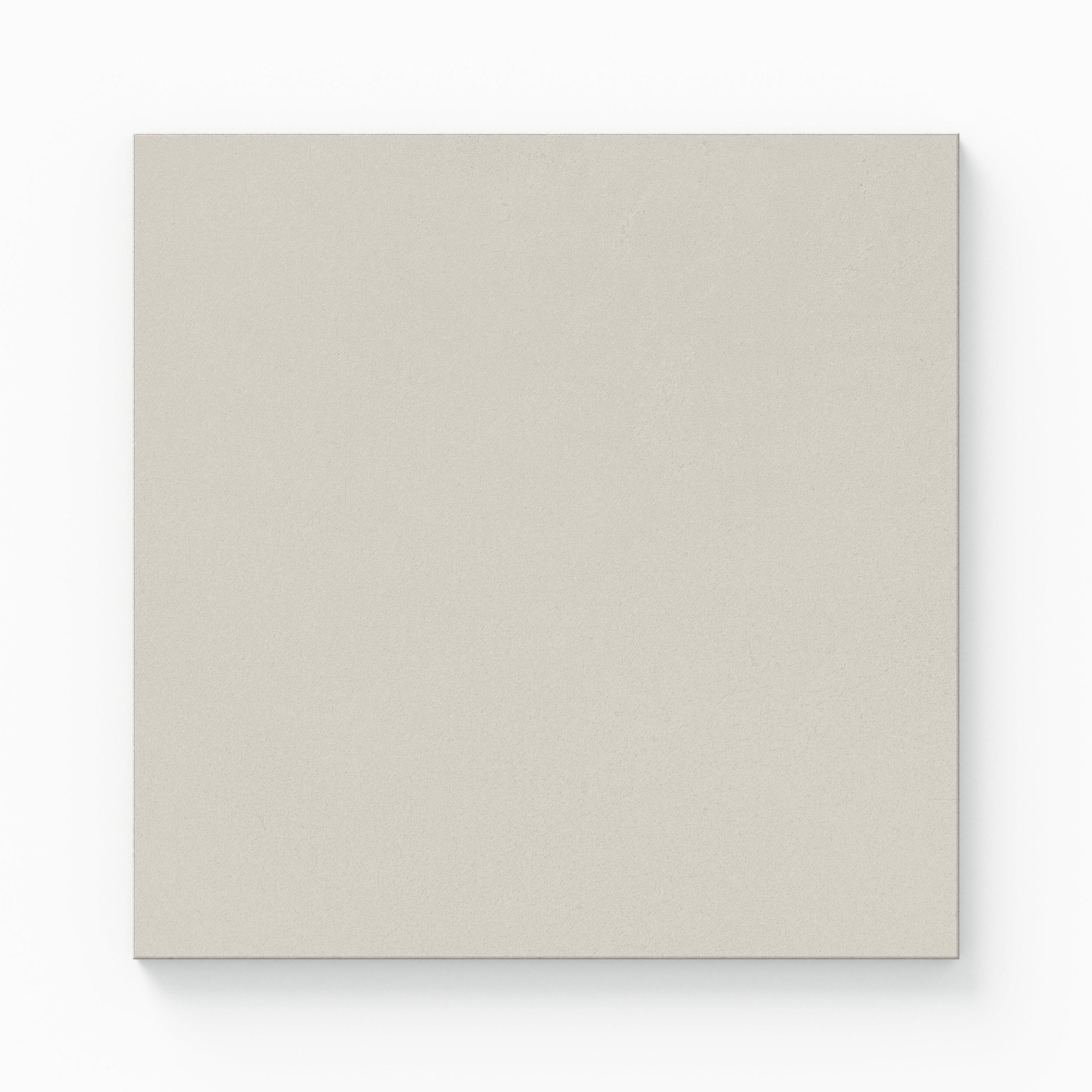 Palmer 12x12 Matte Porcelain Tile in White