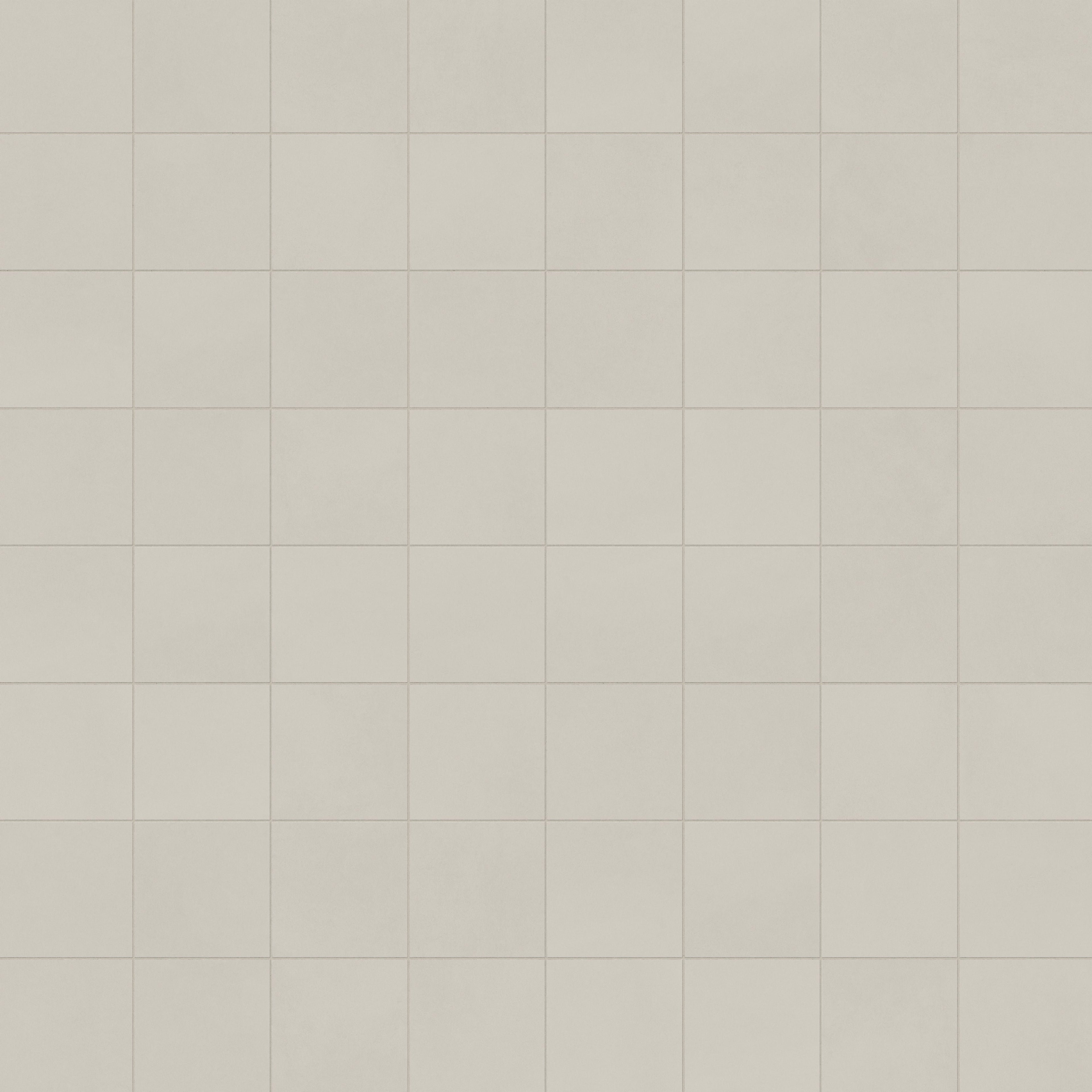 Palmer 12x12 Matte Porcelain Tile in White