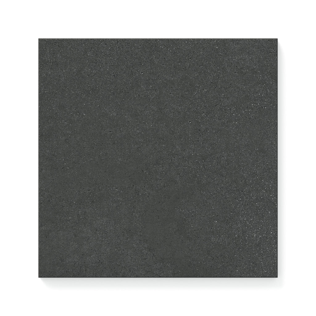 Palmer 12x12 Matte Porcelain Tile in Nero