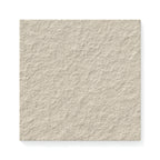 Palmer 12x12 Raw Porcelain Tile in Natural