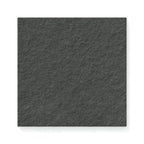 Palmer 12x12 Raw Porcelain Tile in Nero