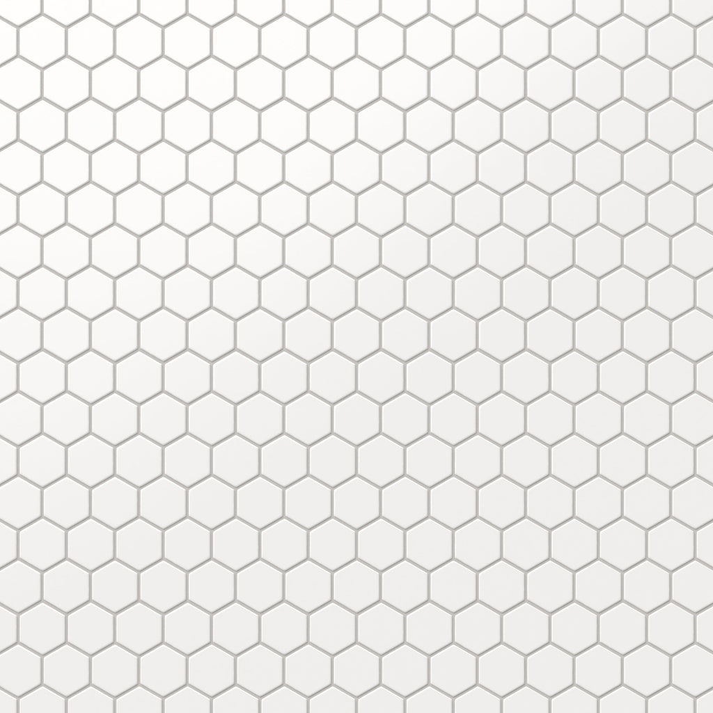 Levi 12x12 Matte Porcelain 2x2 Hexagon Mosaic Tile in White