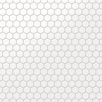Levi 12x12 Matte Porcelain 2x2 Hexagon Mosaic Tile in White