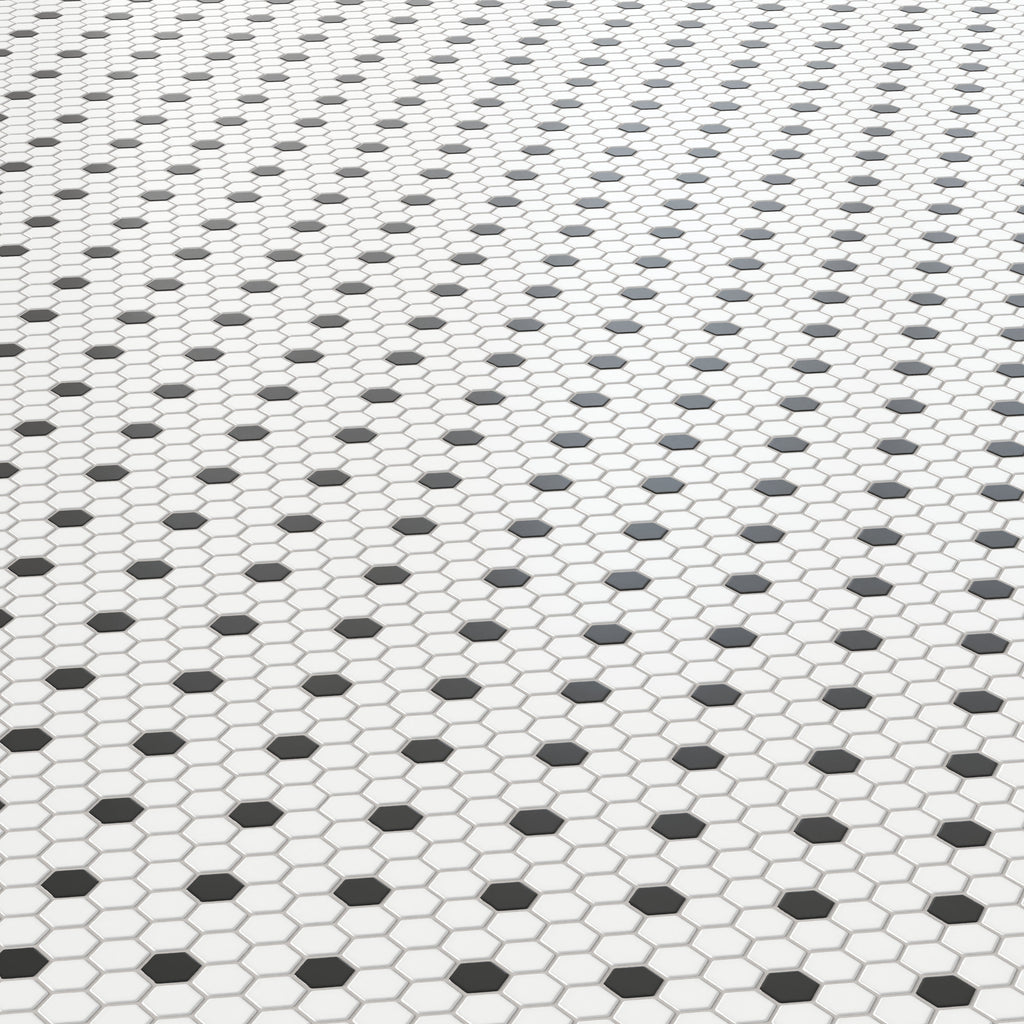 Quinn 12x12 Matte Porcelain 1x1 Hexagon Mosaic Tile in Black & White