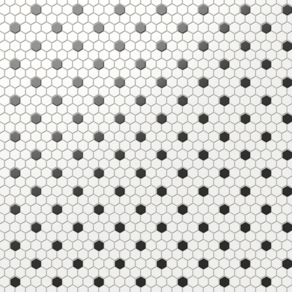 Quinn 12x12 Matte Porcelain 1x1 Hexagon Mosaic Tile in Black & White