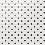 Quinn 12x12 Matte Porcelain 1x1 Hexagon Mosaic Tile in Black & White