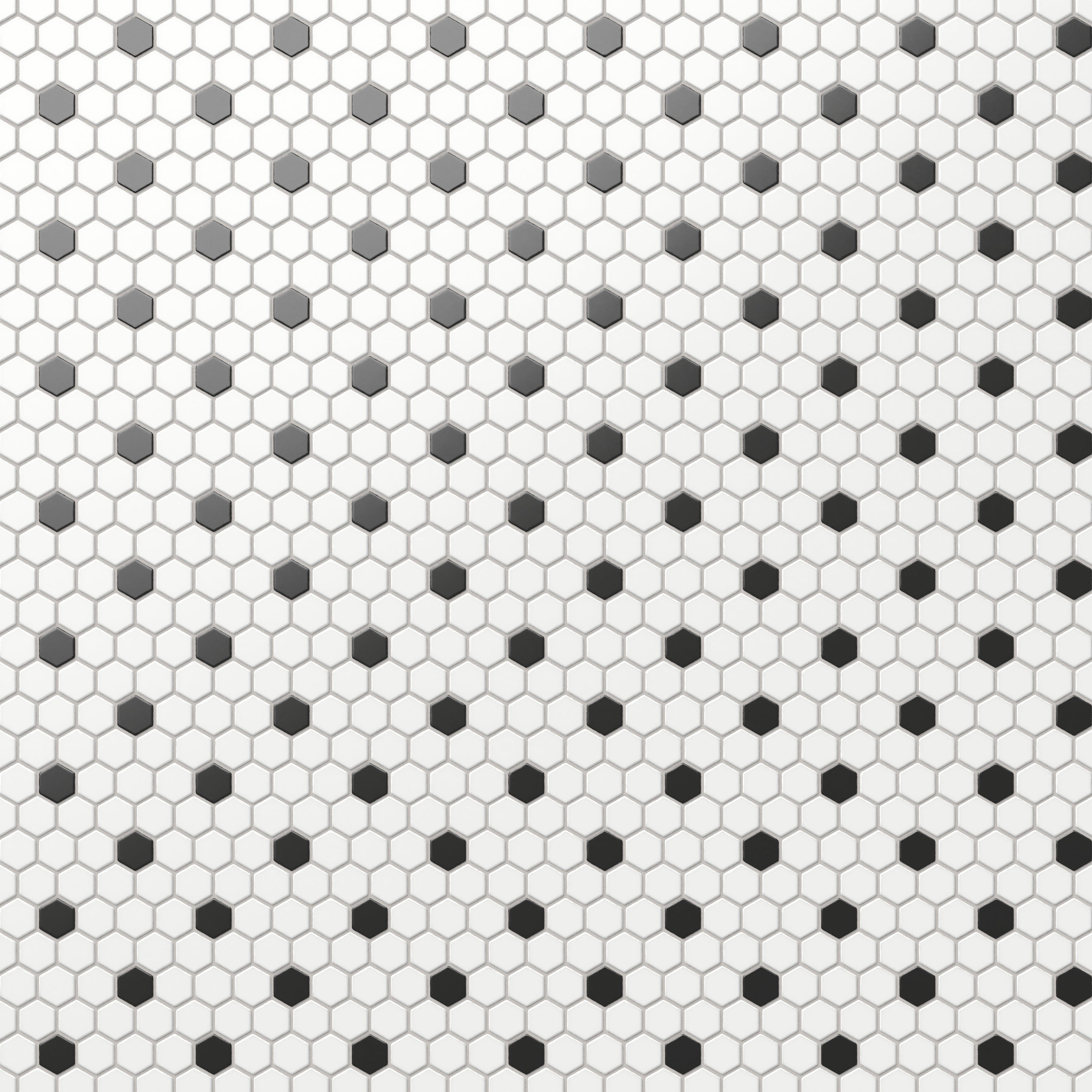 Quinn 12x12 Matte Porcelain 1x1 Hexagon Mosaic Tile in Black & White