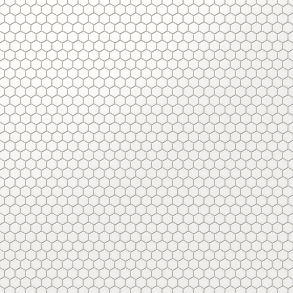 Levi 12x12 Matte Porcelain 1x1 Hexagon Mosaic Tile in White