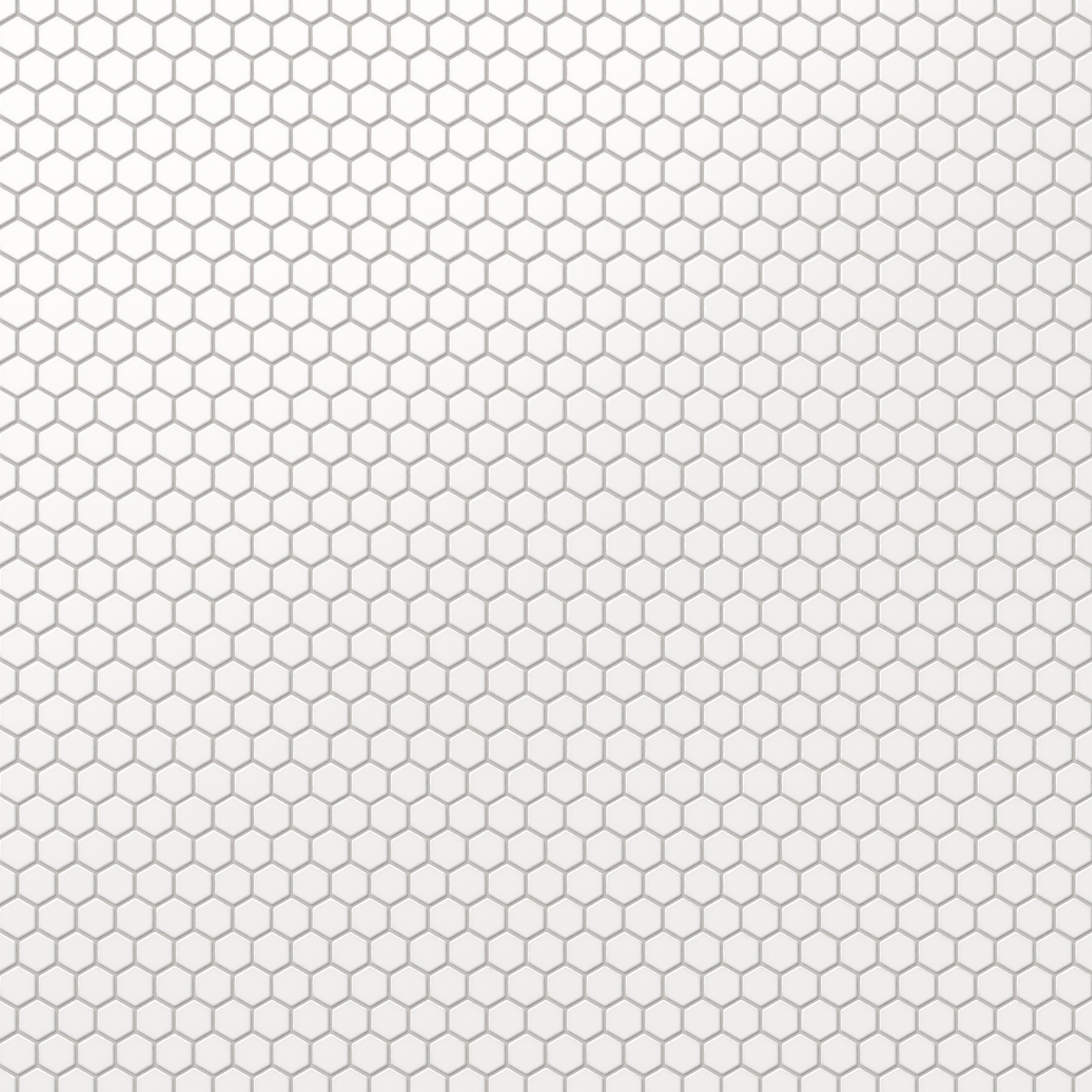 Levi 12x12 Matte Porcelain 1x1 Hexagon Mosaic Tile in White