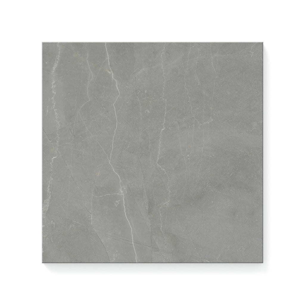 Leona 12x12 Polished Porcelain Tile in Amani Grey
