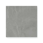 Leona 12x12 Polished Porcelain Tile in Amani Grey