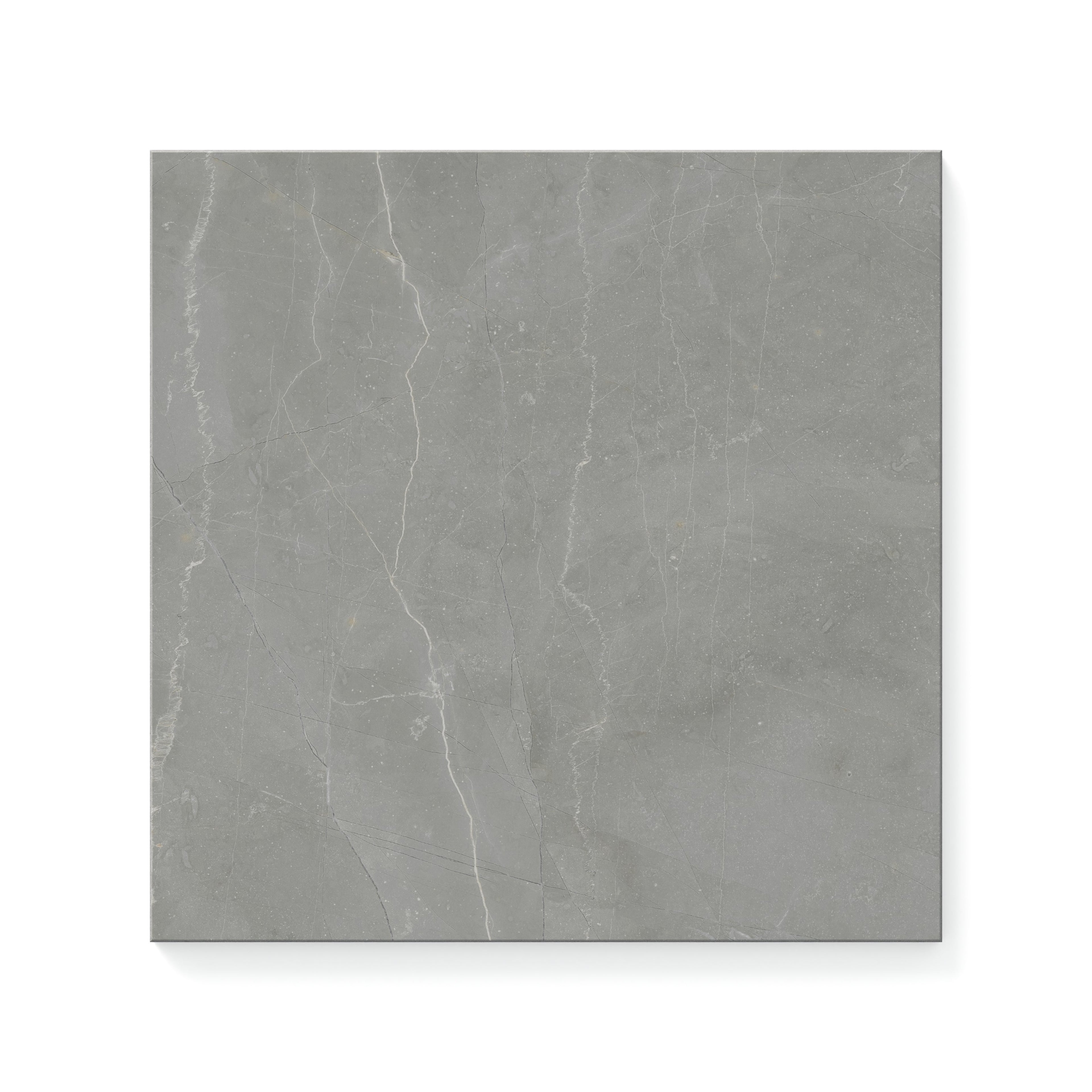 Leona 12x12 Polished Porcelain Tile in Amani Grey