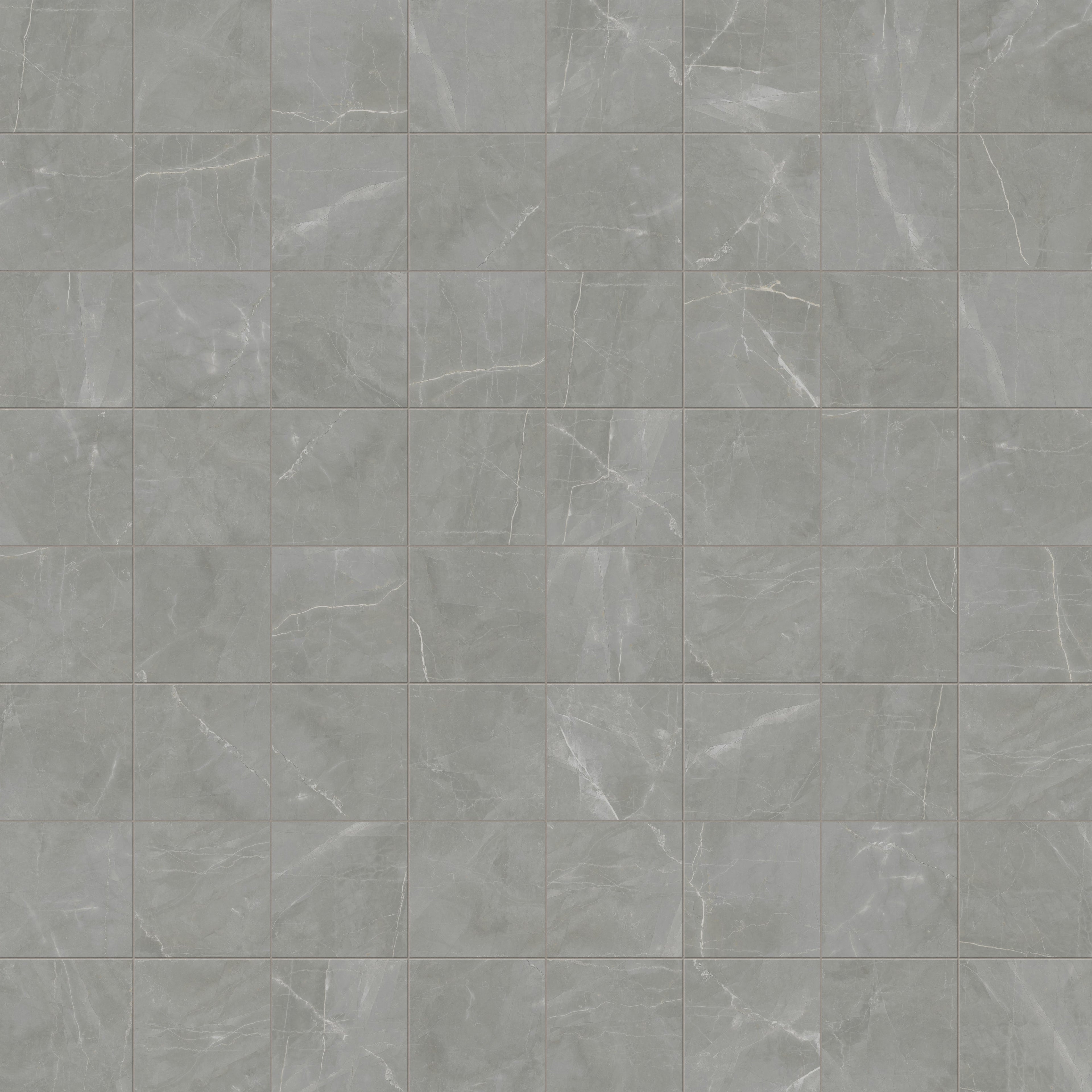 Leona 12x12 Polished Porcelain Tile in Amani Grey