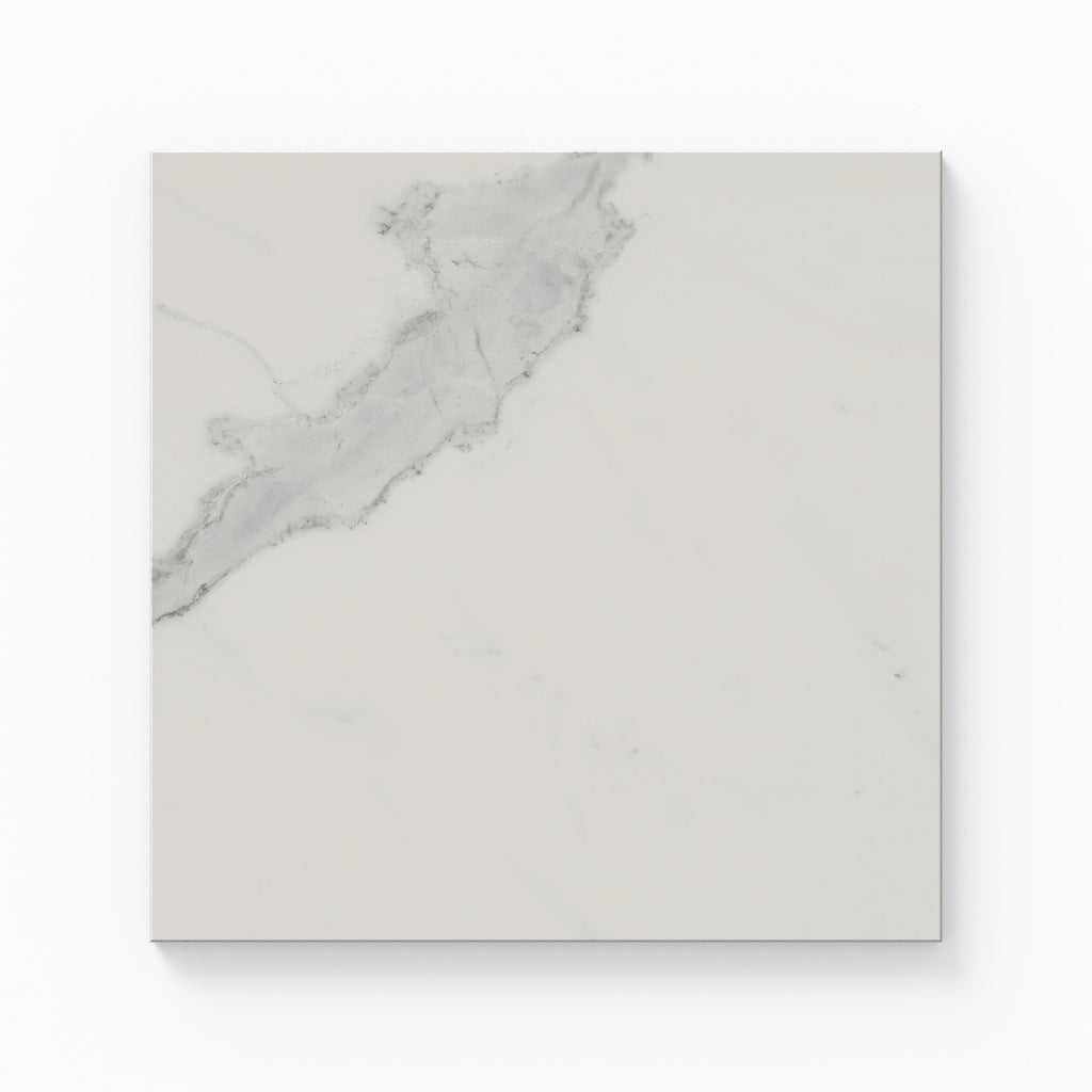 Leona 12x12 Polished Porcelain Tile in Calacatta