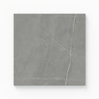 Leona 12x12 Matte Porcelain Tile in Amani Grey