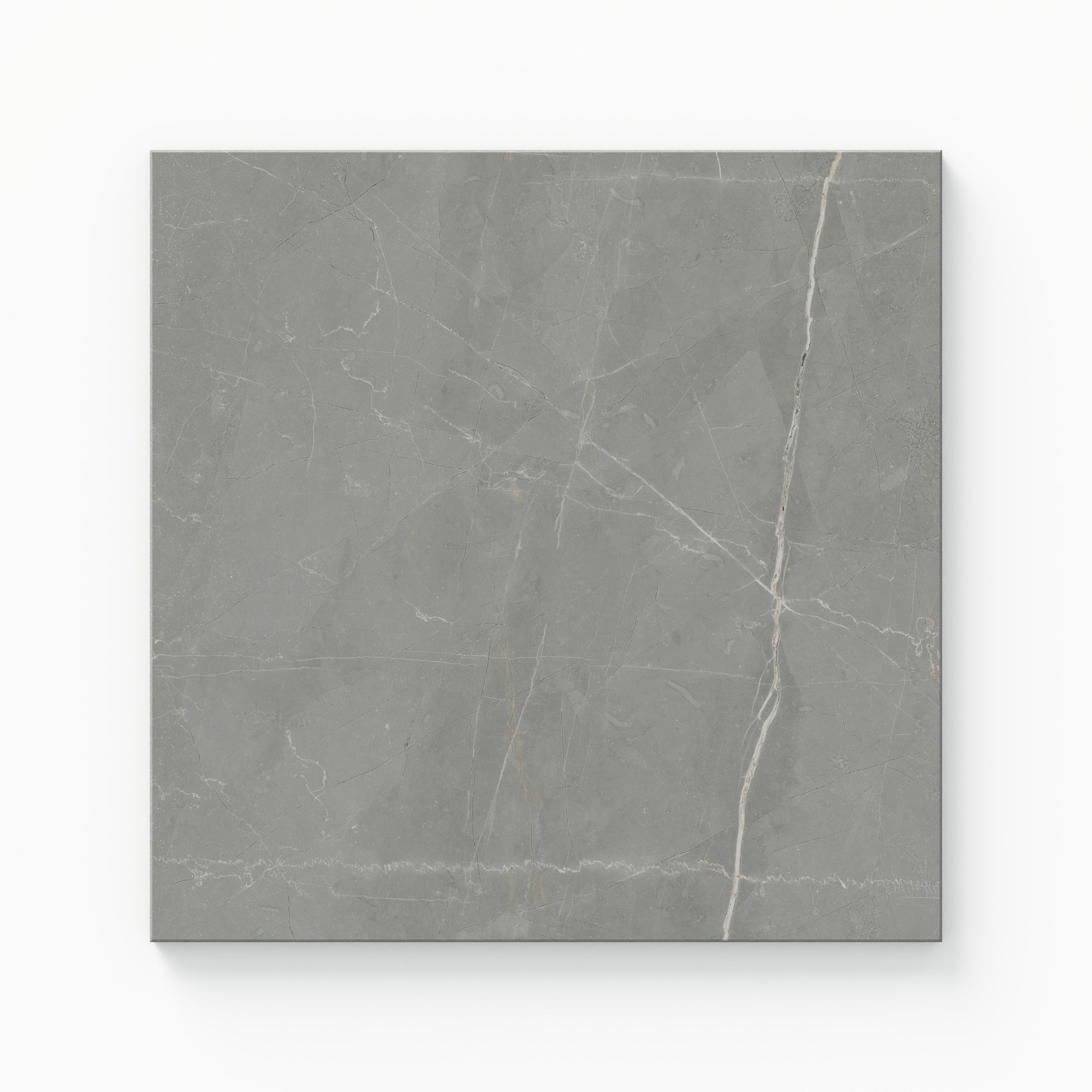 Leona 12x12 Matte Porcelain Tile in Amani Grey