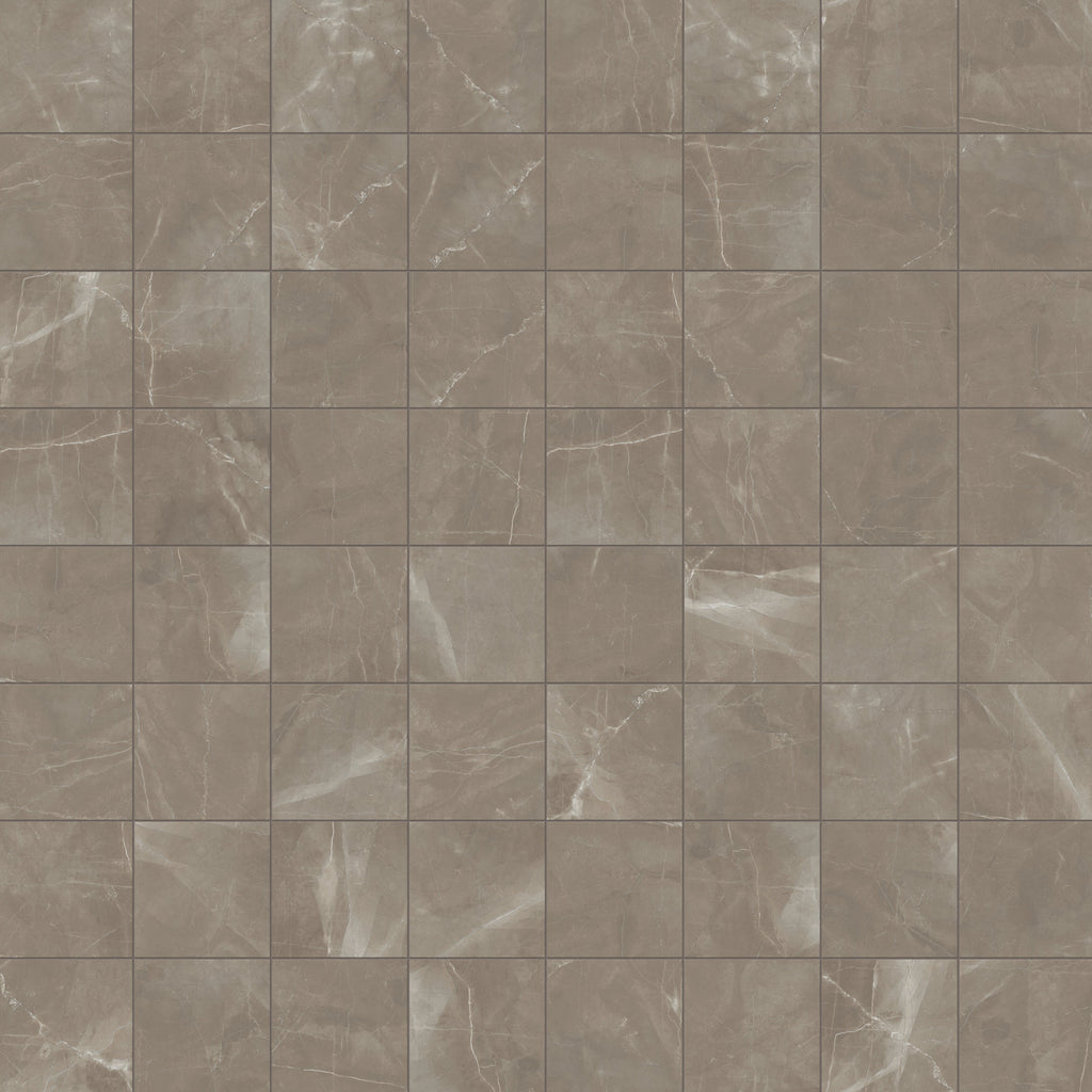 Leona 12x12 Matte Porcelain Tile in Amani Bronze