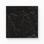 Leona 12x12 Matte Porcelain Tile in Nero Marquina