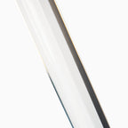 Raquel Wall Sconce in Polished Nickel